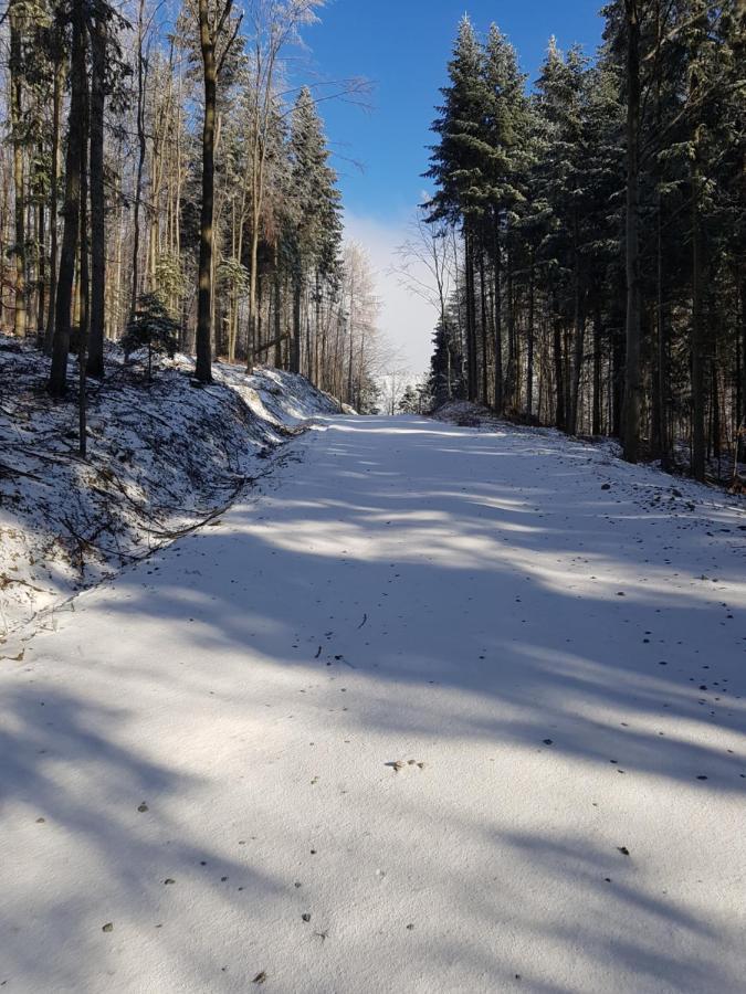Chalet Gniewnik