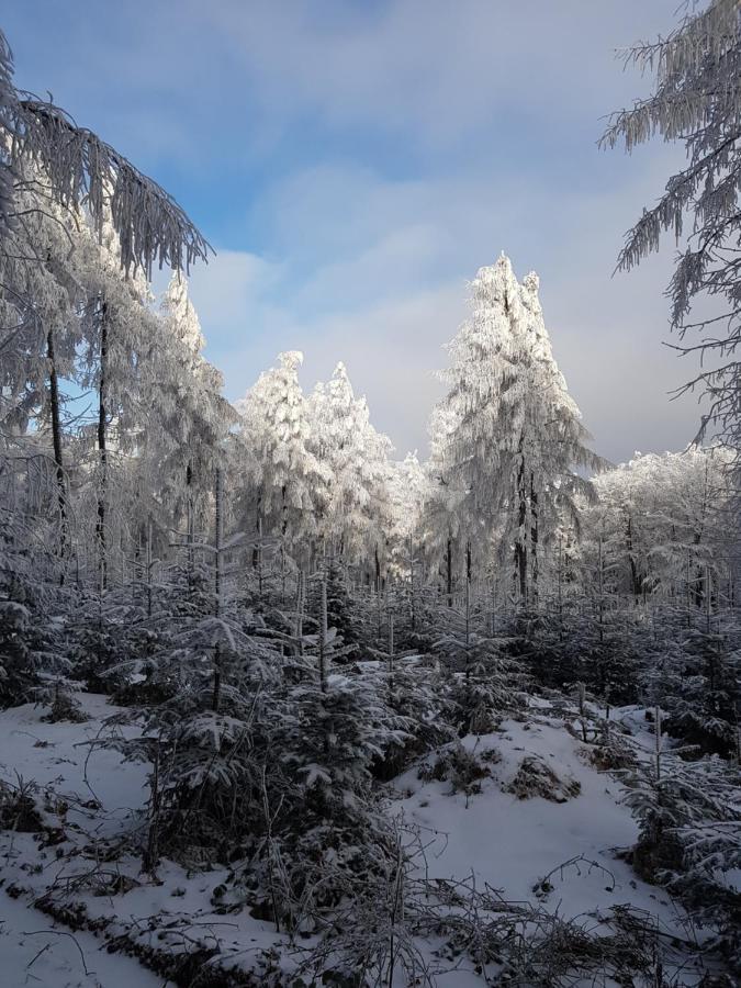 Gniewnik *