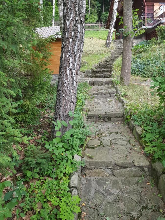 Gniewnik * Pcim